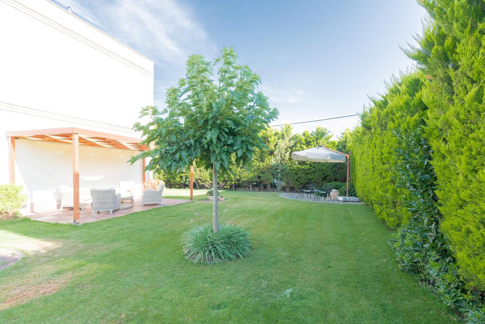 Elia Hotel Cunda By Ortunc Ayvalı Exteriér fotografie